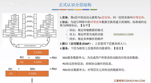 計算機(jī)網(wǎng)絡(luò) 2 標(biāo)準(zhǔn)化工作 性能指標(biāo) 分層結(jié)構(gòu)